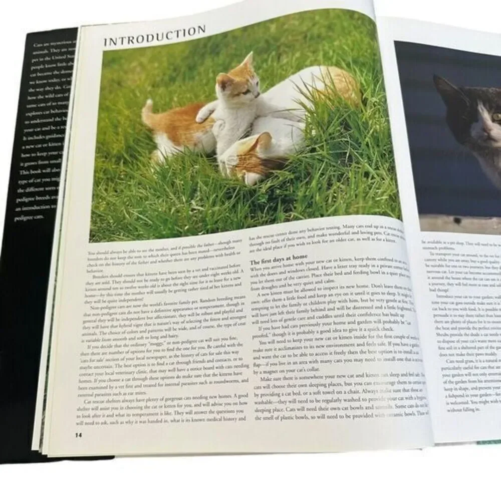 N/A interior book